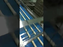 ραβδί ψωμιού